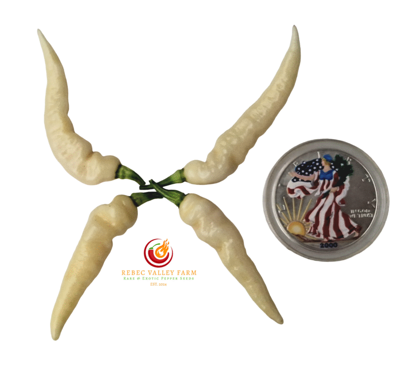Murupi Amarela White Pepper