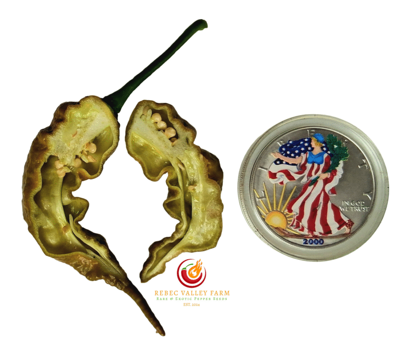 Mustard Primotalii Pepper - Image 2