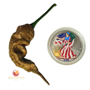 Mustard Primotalii Pepper