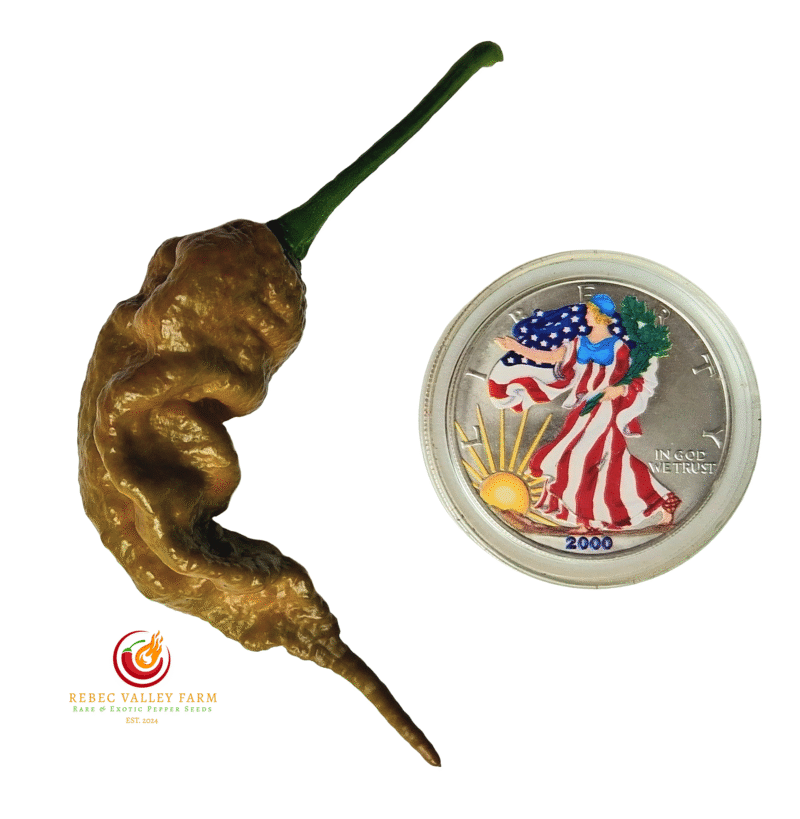 Mustard Primotalii Pepper
