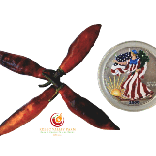 Neyde Orange Pepper