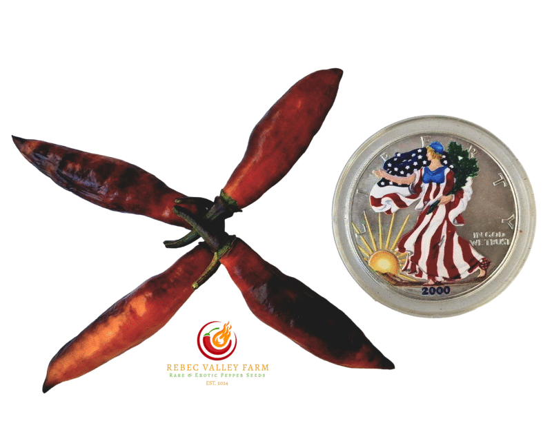 Neyde Orange Pepper