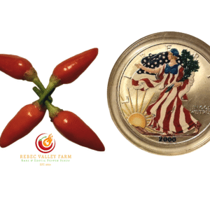 NuMex Twilight Pepper