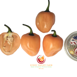 Peach Habanero Pepper