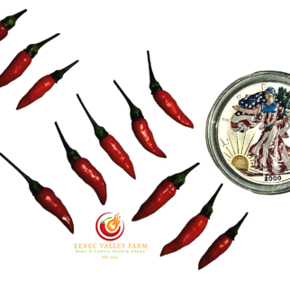 Peri Peri Pepper