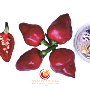 Pimenta Moranga Pepper