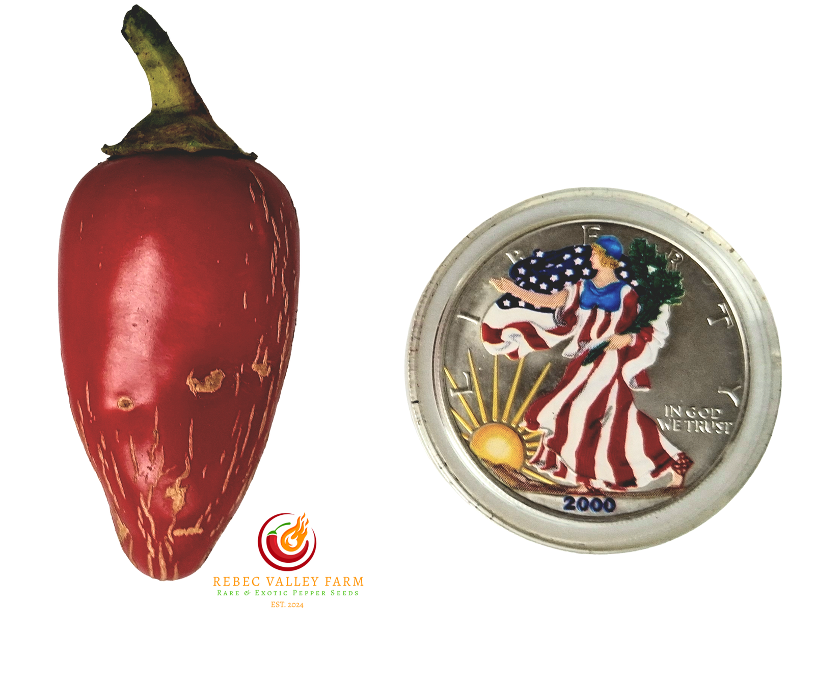 NuMex Pinata Jalapeno Pepper