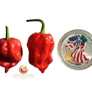 Purple Reaper Pepper