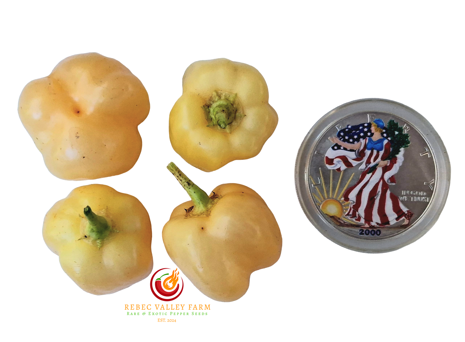 Sugar Rush Cream Pepper