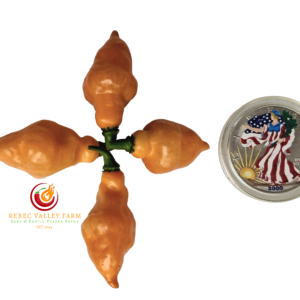 Trippaul Threat Orange Pepper