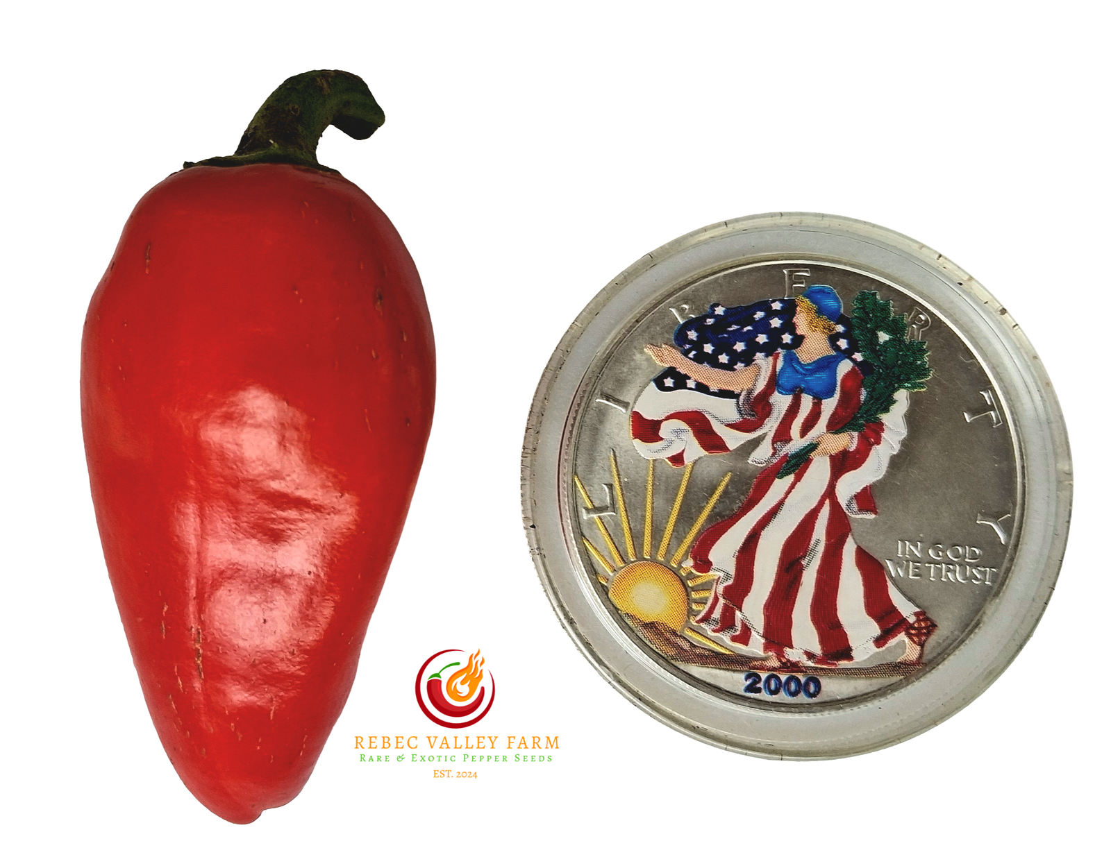 White Jalapeno Pepper