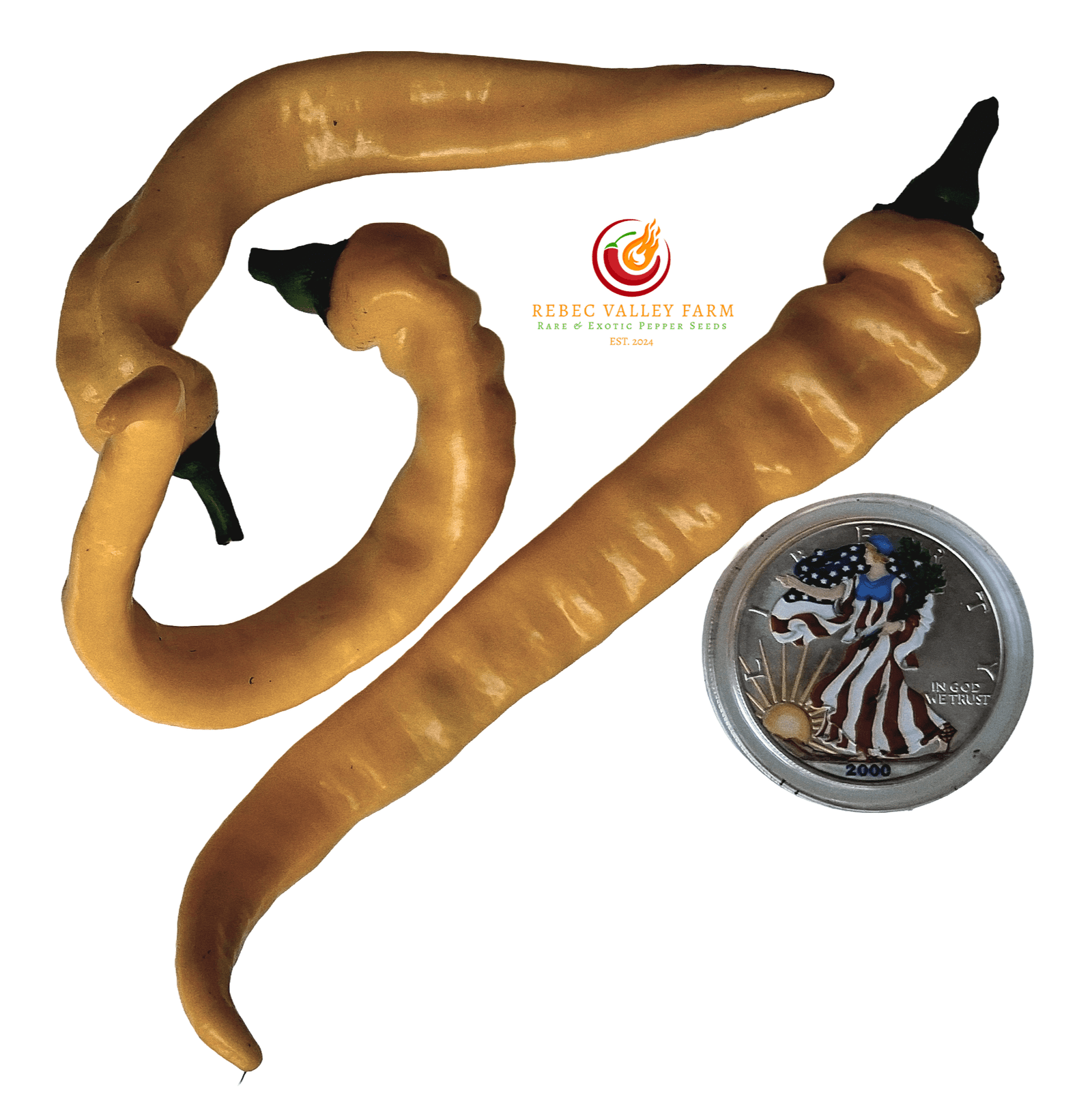 Jimmy Nardello Yellow Pepper