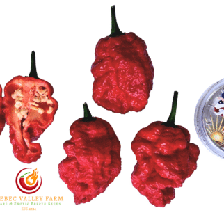 Zing Pepper