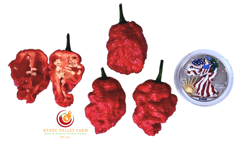 Zing Pepper