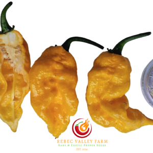 Golden Primotalii Pepper