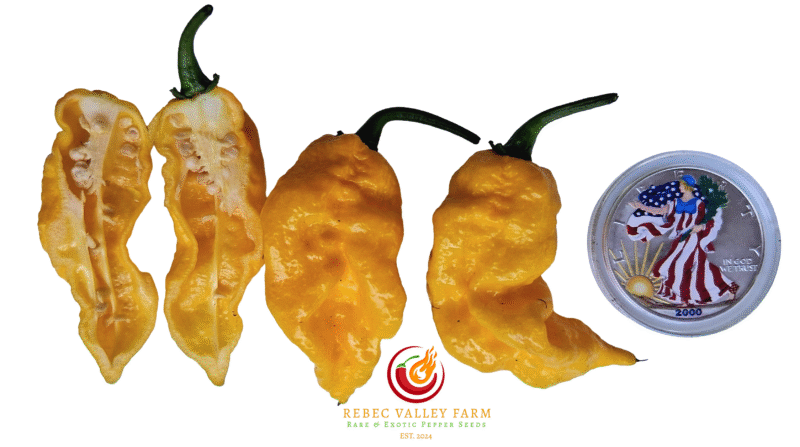 Golden Primotalii Pepper