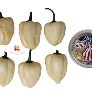 White Habanero Pepper
