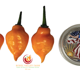 Aji Mochero Pepper