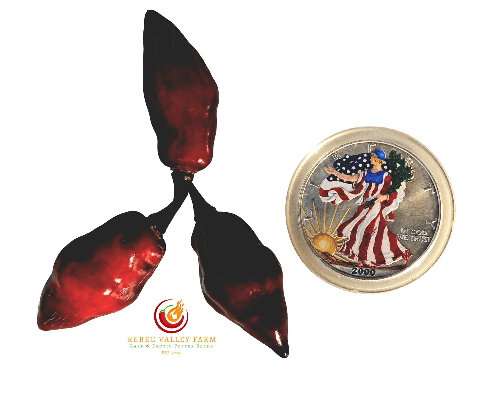 7JPN Dark Pepper - Image 5