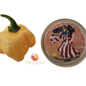 Aji Margariteno Pepper