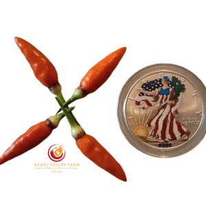 Angkor Sunrise Pepper