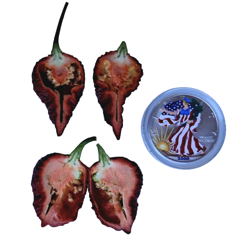 Balrog Pepper - Image 2