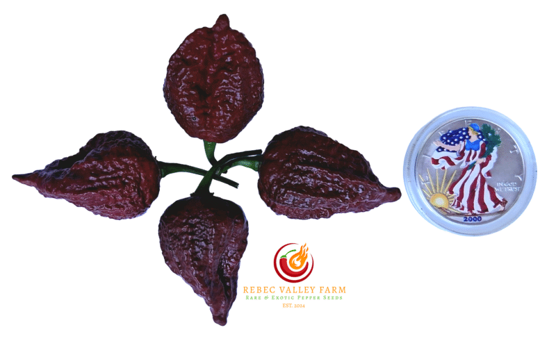 Balrog Pepper
