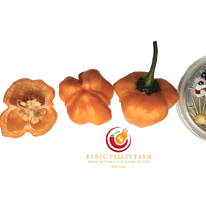 Berry Amarillo Pepper