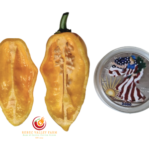 Big Yellow Mama Pepper