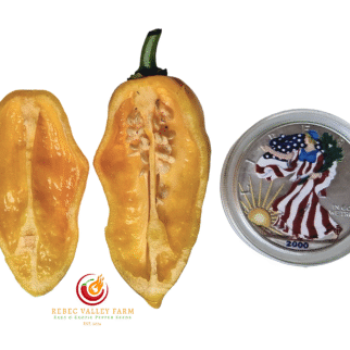Big Yellow Mama Pepper