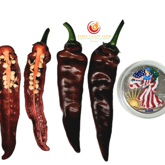 Brown Thai TQ