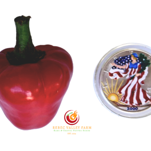 Calabrian Caviar Pepper