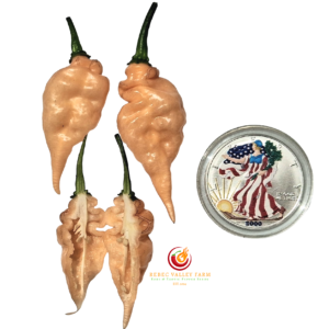 Carbonero Light Peach Pepper