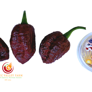 Chocolate 7 Pot Brainstrain Pepper