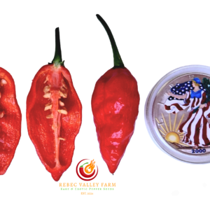 Dorset Naga Pepper