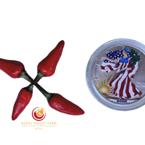 Explosive Ember Pepper