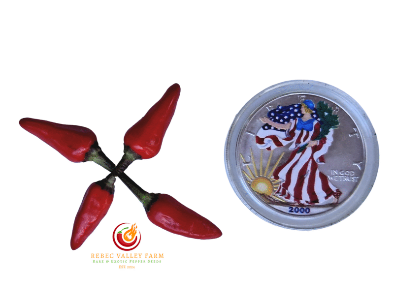 Explosive Ember Pepper