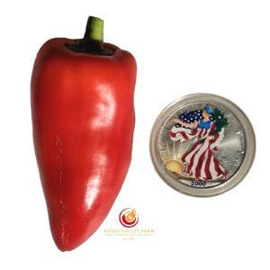 Feher Ozon Paprika Pepper