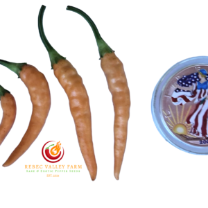 Fifi Peach Tabasco Pepper