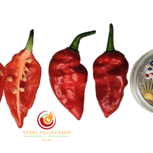 Fox Purple Ghost Gnarly Ruby Pepper