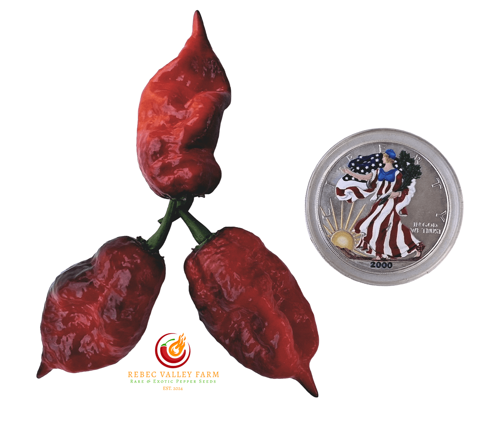 Gator Jigsaw Purple Pepper - Image 7