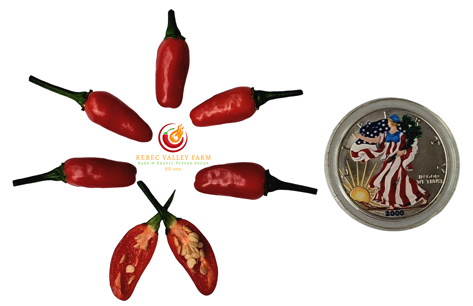 Goat's Weed (Black Cobra) Pepper