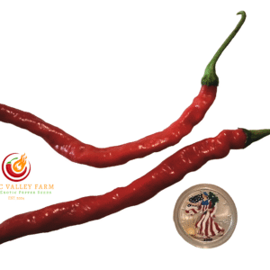 Hangjiao 2 Meteor Pepper