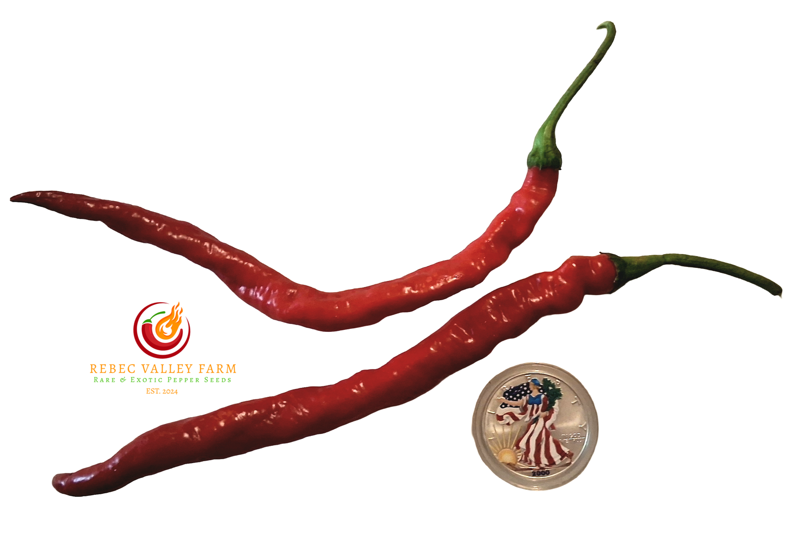 Hangjiao 2 Meteor Pepper