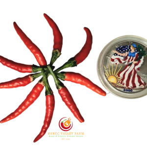 Intergalactic Red Pepper