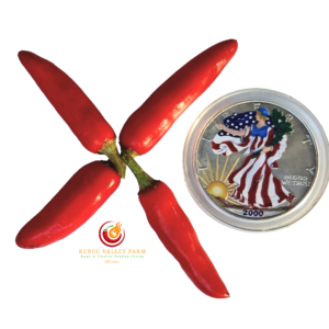 KS White Thai Pepper