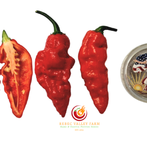 Naga Morich Pepper