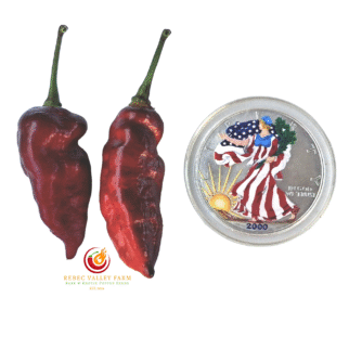 Nazgul's Breakfast Pepper