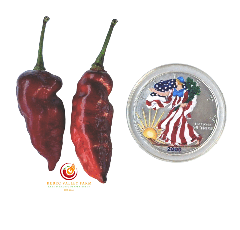 Nazgul's Breakfast Pepper