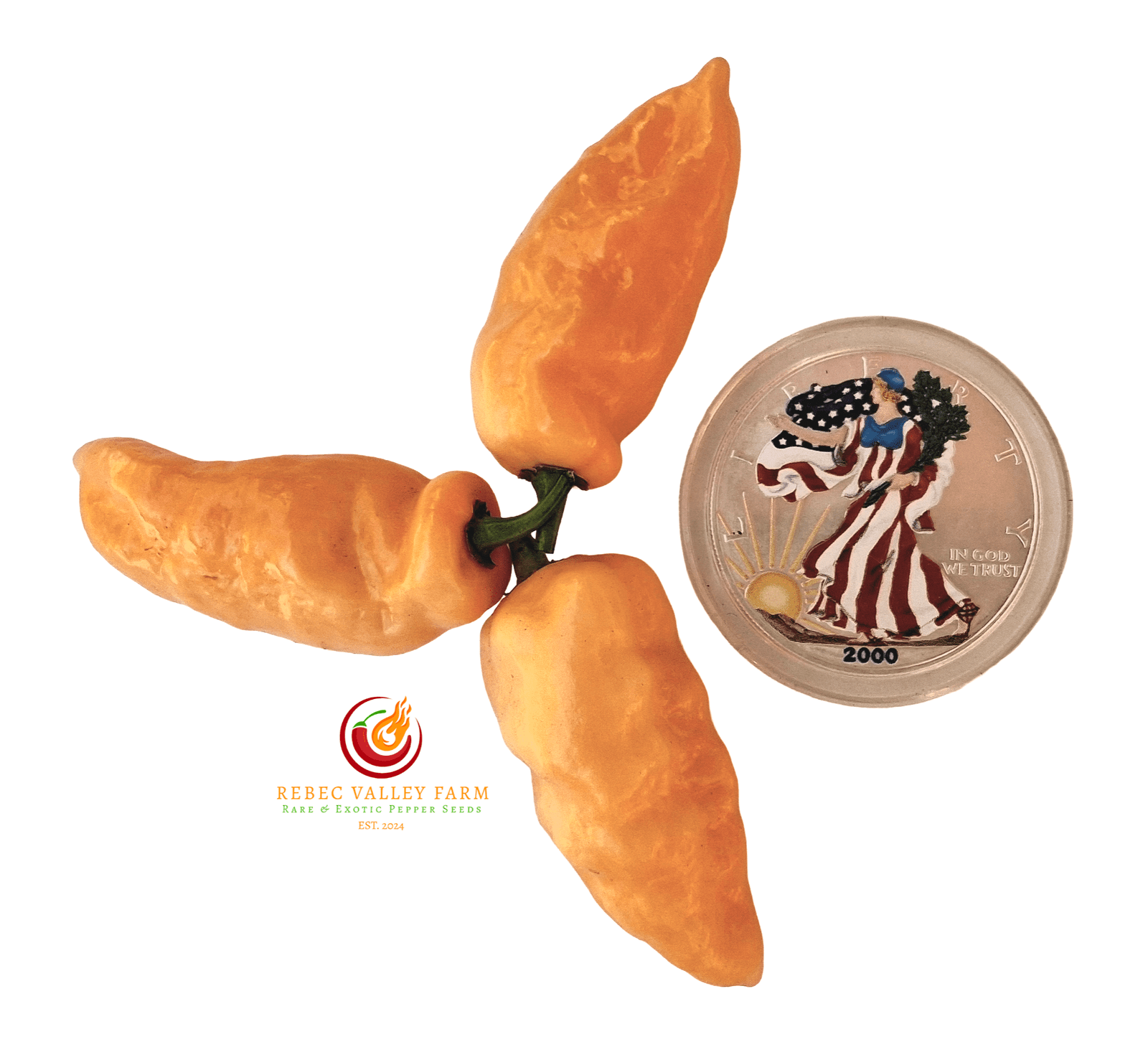 Peach Fatalii Pepper